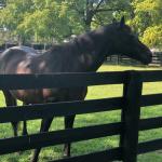 2019_OTRA_0620 (September 01, 2019)